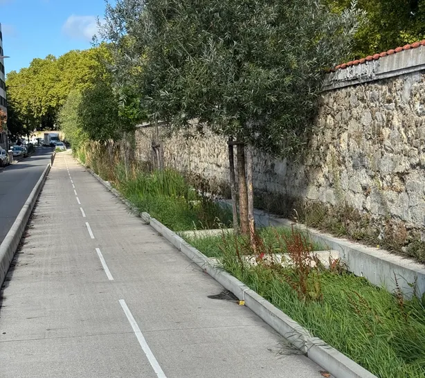 Infrastructures de voirie